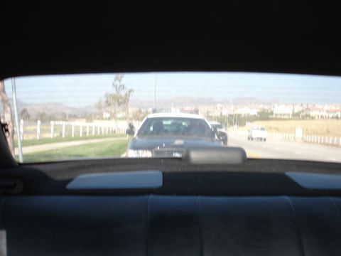 1993 Ford Taurus - View from inside a car shows a police car ahead on the road, with other vehicles and a suburban landscape.