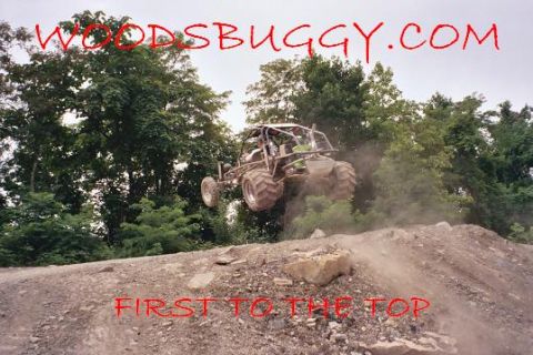 1960 Volkswagen Beetle photo