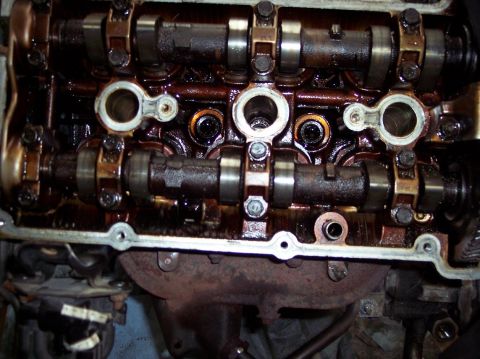 1995 Ford Probe - Close-up view of internal engine components, including camshafts and valves, covered in oil.
