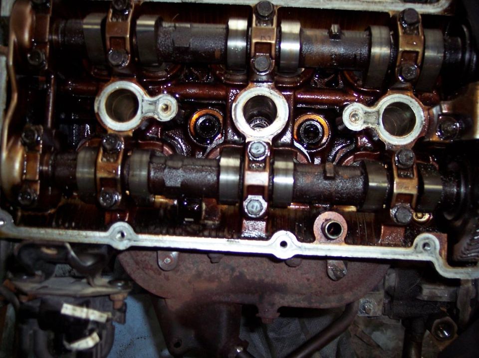 Engine internal view with camshafts and oil