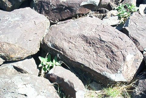 1986 Ford Bronco - A close-up view of a jumble of large, weathered rocks with sparse vegetation.