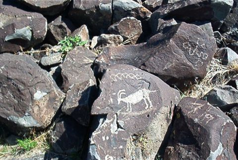 1986 Ford Bronco - Ancient petroglyphs are visible on rocks, depicting animal figures and abstract designs.