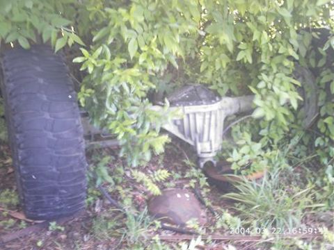 1986 Ford Bronco - A rear axle and tire are visible amongst overgrown plants and debris.