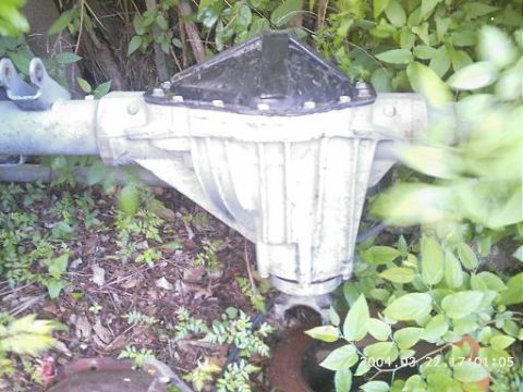 1986 Ford Bronco - Rear axle differential assembly, likely from a truck or SUV, partially obscured by foliage.