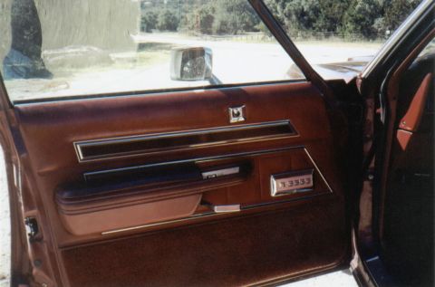 1986 Ford Crown Victoria LTD - Interior view of a car's brown door panel, chrome accents and a padded armrest.