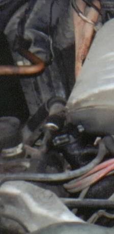 1986 Ford Crown Victoria LTD - This image shows a close-up view of various engine bay components, including hoses and wiring.