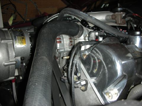 1992 Ford Crown Victoria - Close-up view of an engine bay, an alternator, a supercharger, and a chrome valve cover.