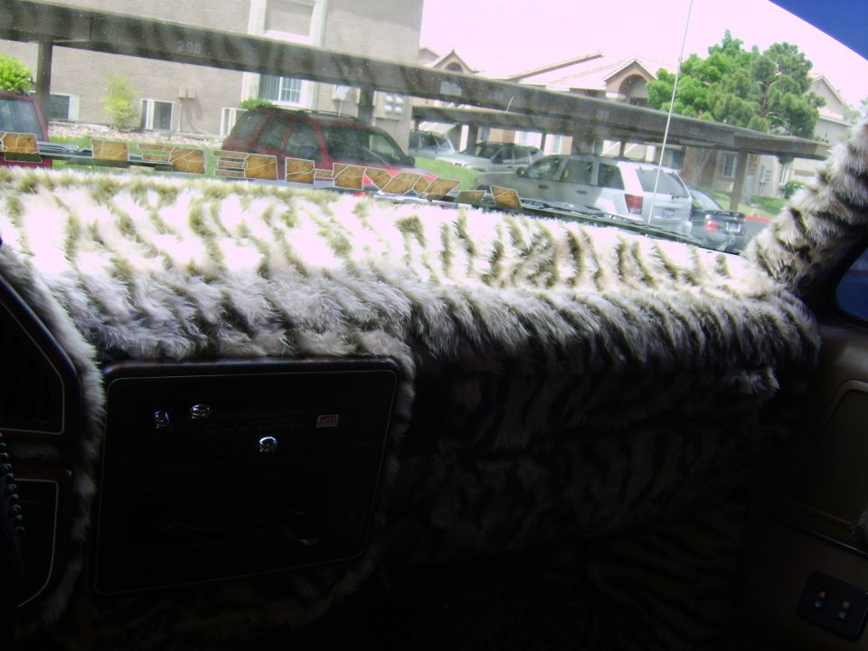 Tiger print dashboard and interior with other vehicles visible through windshield