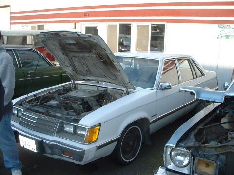2000 Ford Crown Victoria - White sedan with hood open, parked next to another vehicle.