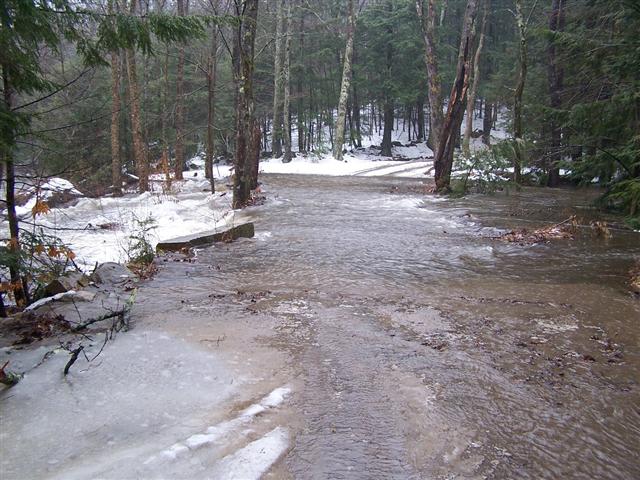 Flooded forest road with ice and snow