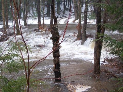 1966 Land Rover Discovery - A forest road is submerged by rushing floodwaters, with snow visible on the banks.