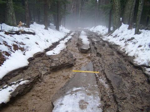 1966 Land Rover Discovery - A treacherous muddy road winds through a snowy forest, showing deep ruts and debris.
