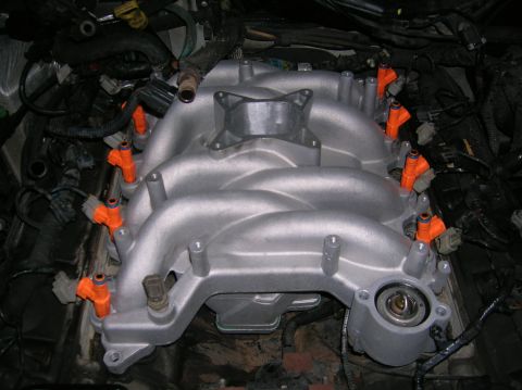 1998 Ford Crown Victoria - silver aluminum intake manifold sits installed on a V engine, fitted with bright orange fuel injectors and surrounding wiring.