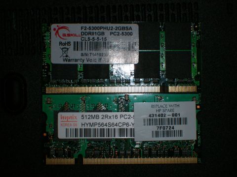 2000 Ford Crown Victoria - Two computer RAM modules are shown, a G.Skill 1GB DDRII PC2-5300 and a Hynix 512MB PC2-4200.