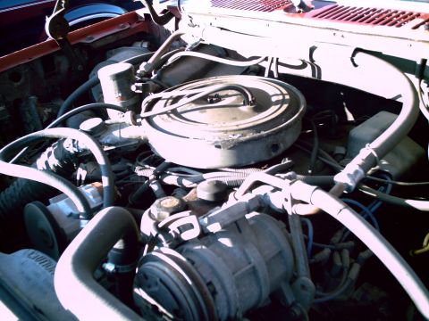 1986 Ford Bronco photo