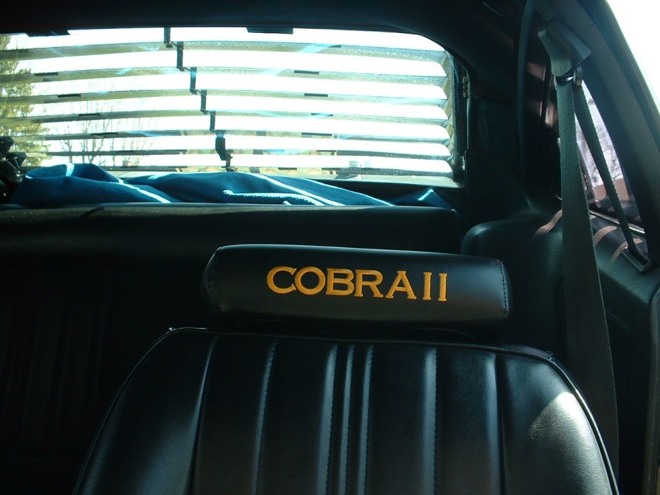 Black bucket seat headrest embroidered COBRA II in gold, rear window louvers behind