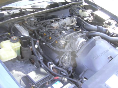 1996 Ford Crown Victoria - The engine bay of a vehicle, a V8 engine, coolant reservoirs, and a fan shroud with visible caution text.