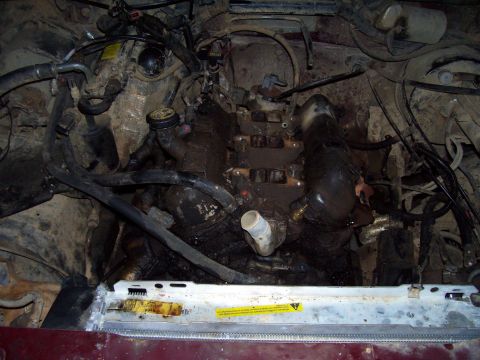 1989 Ford Bronco II - The engine bay is filled with grime and various hoses, with a radiator visible at the bottom.