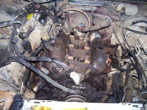 1989 Ford Bronco II - The engine bay is shown with various hoses, wiring, and engine components, appearing to be in a state of disrepair or undergoing maintenanc…