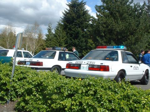 2000 Ford Crown Victoria - Two police vehicles are parked side-by-side, partially obscured by green foliage.