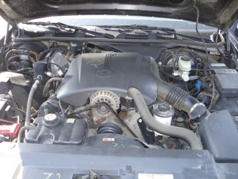 2001 Ford Crown Victoria - The engine compartment of a 2001 Ford Crown Victoria is visible, with various hoses, belts, and the engine cover in place.
