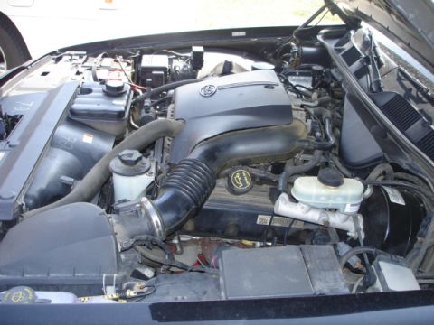 2001 Ford Crown Victoria - The engine bay of a 2001 Ford Crown Victoria is visible with the hood open.