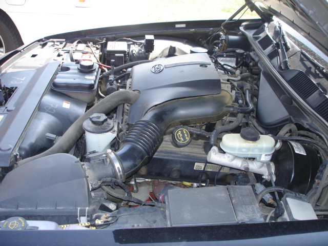 Engine bay of a 2001 Ford Crown Victoria, showing the V8 engine, air intake, and brake fluid reservoir