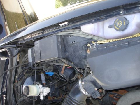 2001 Ford Crown Victoria photo