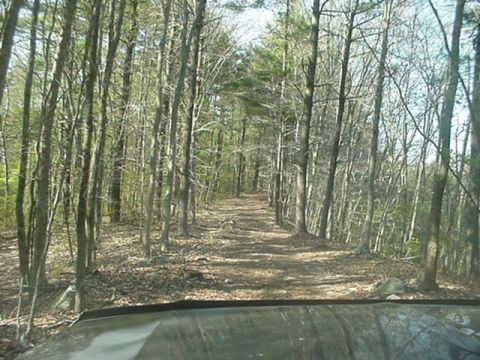 1993 Ford Bronco - View from inside a vehicle driving down a wooded dirt road.