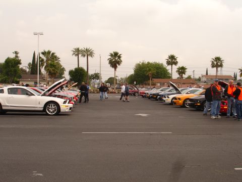 1993 Ford Taurus - A car show features many Ford Mustangs parked in rows, most with their hoods open.