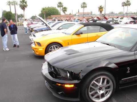 1993 Ford Taurus - A line of Ford Mustangs are parked at an outdoor event, with a black GT500 in the foreground.