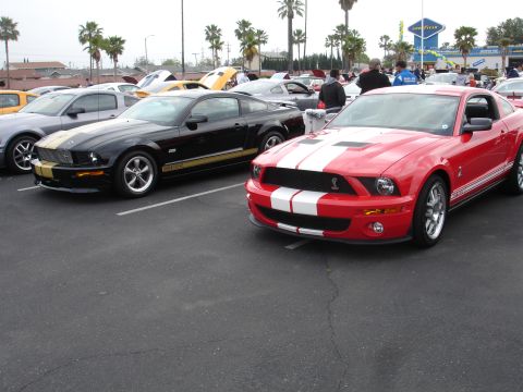 1993 Ford Taurus - A red 2007 Ford Mustang Shelby GT500 is parked next to a black Mustang in a parking lot.