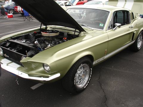 1993 Ford Taurus - A classic green Ford Mustang GT350 is displayed with its hood open at an outdoor car show.