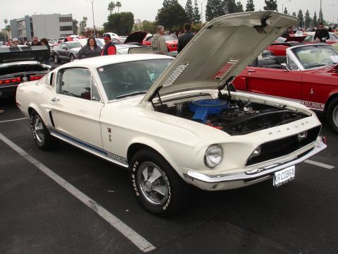 1993 Ford Taurus - A white 1967 Shelby GT500 is parked with its hood open, revealing the engine and a blue air cleaner.