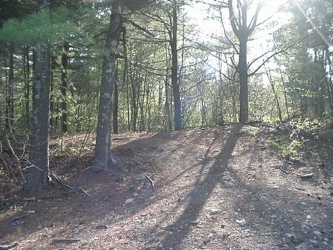 1993 Ford Bronco - A sun-dappled forest path winds through trees, with a Supermotors logo visible.