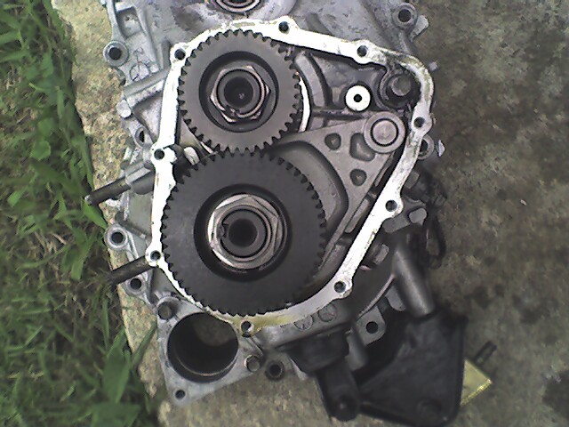 Engine front cover with two timing gears exposed