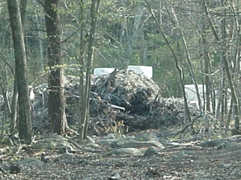1993 Ford Bronco - A white vehicle is visible behind a large pile of debris in a forest setting.