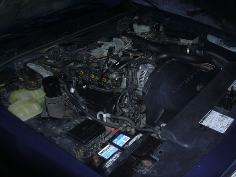 1996 Ford Crown Victoria - Engine bay of a 1996 Ford Crown Victoria, showing the V8 engine and associated components.