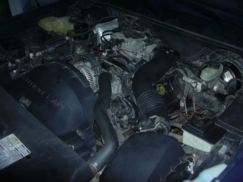 1996 Ford Crown Victoria - The engine bay of a 1996 Ford Crown Victoria is visible, with various components of the V8 engine clearly depicted.