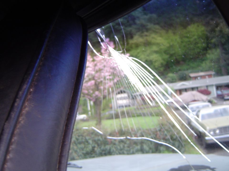 Interior view of a car with a spiderweb crack on the windshield, showing trees and houses outside