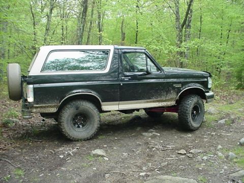 1993 Ford Bronco - This 1993 Ford Bronco is shown in a wooded area, its iconic body style and a rear-mounted spare tire.