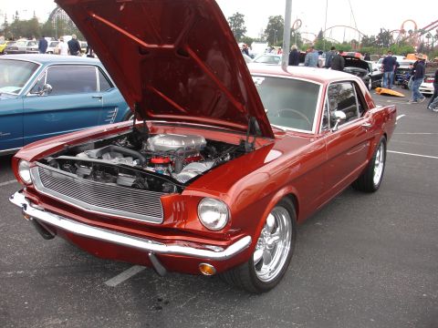 1993 Ford Taurus - A classic red Mustang is displayed with its hood up, revealing the engine, while a blue classic car sits nearby.