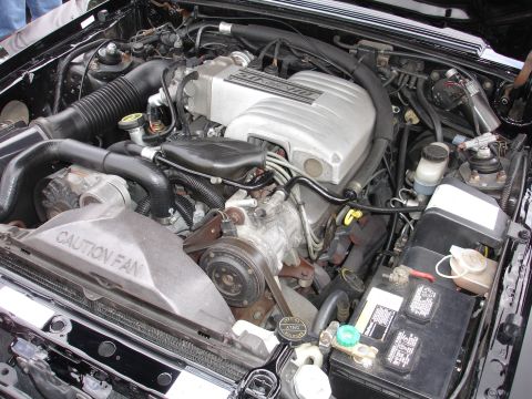 1993 Ford Taurus - Close-up view of a V8 engine bay, showing various components and wiring.