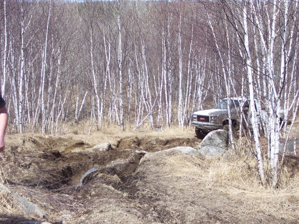 Tan GMC pickup truck navigating a muddy, rocky off-road trail through a birch forest
