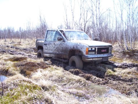 1996 Ford Bronco - A GMC pickup truck is deeply stuck in thick mud and water, surrounded by sparse vegetation and trees.