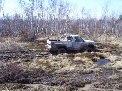 1996 Ford Bronco - A white pickup truck is stuck in a muddy, wooded area, with its tires sunk deep into the mire.