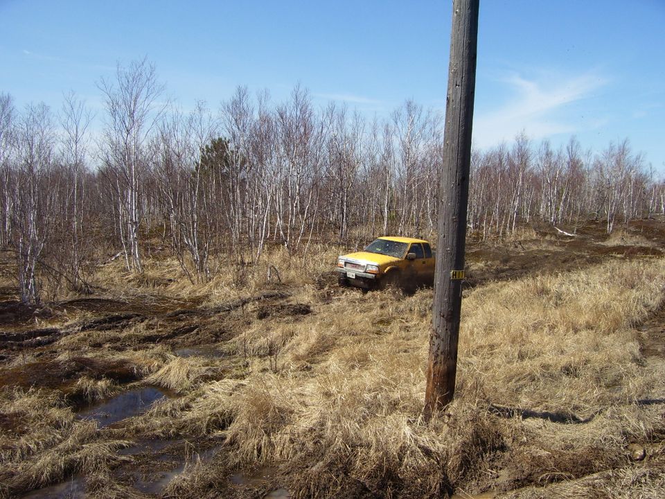 Yellow pickup truck driving through a muddy, wooded area with bare trees