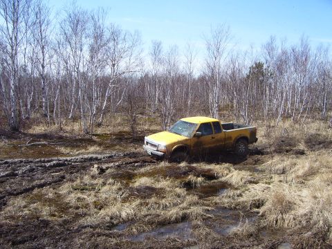 1996 Ford Bronco - A yellow pickup truck is stuck in the mud with trees in the background.
