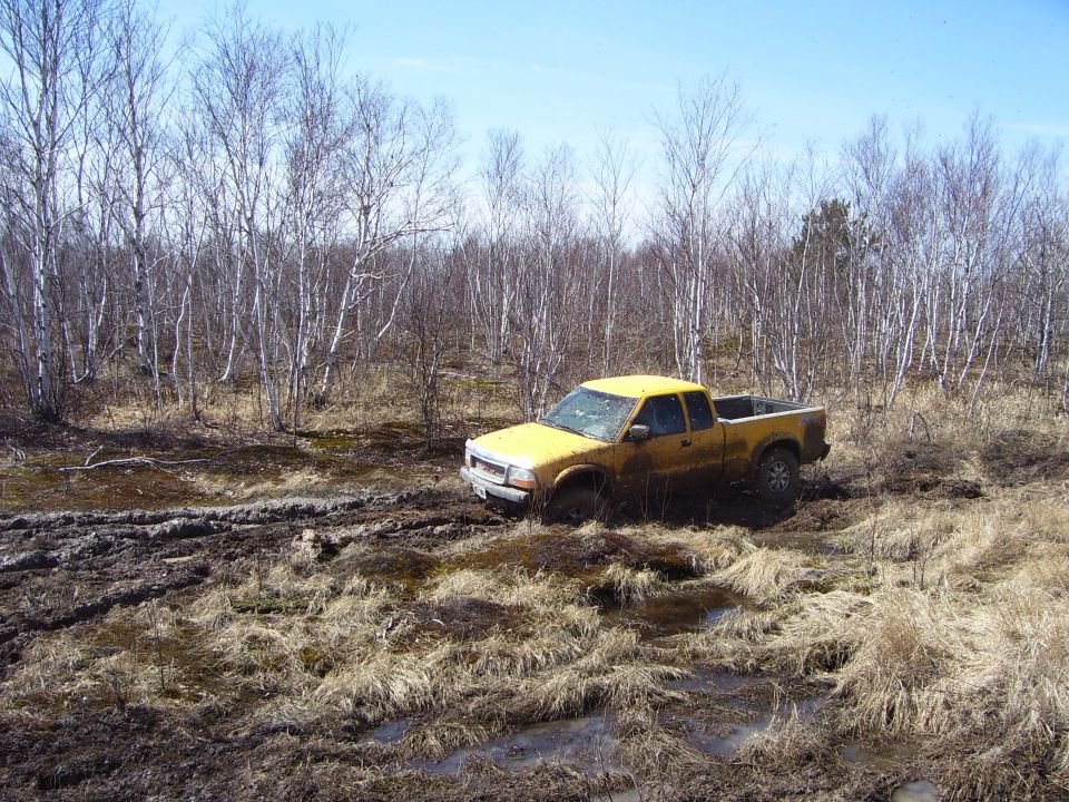 Yellow pickup truck stuck in a muddy, wooded area