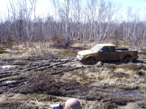 1996 Ford Bronco - A yellow pickup truck is stuck in a muddy, wooded area.